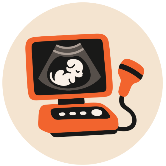 Picture of Pregnancy Testing- Ultra Sound