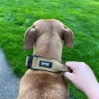Picture of K9 tactical collar for dogs