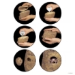 Picture of Feeding Rock Reptile Cricket Feeder