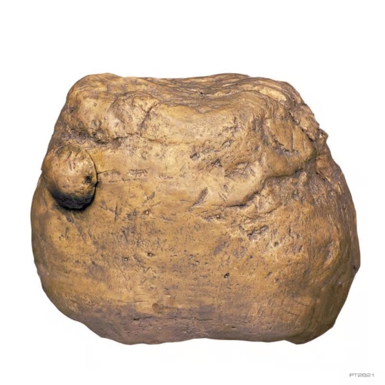 Picture of Feeding Rock Reptile Cricket Feeder
