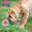 Picture of FERPLAST PA 6416 Flashing Ball 3UD Dog Toy