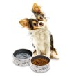 Picture of Ferplast Juno Ceramic Pet Bowl (S) 0.3 Liters
