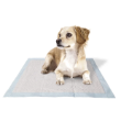 Picture of Ferplast Genico Basic Dog Training Pads 60x60 cm (50-Pack Value Pack)