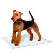 Picture of Ferplast Genico Large Hygienic Dog Training Pads (10-Pack)