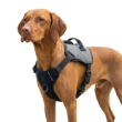 Picture of Ferplast OPTICAL LED Dog Harness (Red / Grey)