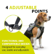 Picture of Ferplast OPTICAL LED Dog Harness (Red / Grey)