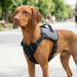 Picture of Ferplast OPTICAL LED Dog Harness (Red / Grey)