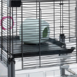 Picture of Ferplast Multi-Level Modular Small Animal Cage System – Deep Base Burrowing Habitat