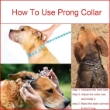Picture of Ferplast Chrome  CA6000 Metal Dog Training Collar with Rubber Tips