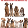 Picture of Ferplast Chrome CA6002 Metal Dog Training Collar with Rubber Tips