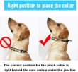 Picture of Ferplast Chrome CA6002 Metal Dog Training Collar with Rubber Tips