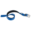 Picture of Ferplast Daytona Padded Nylon Dog Collar (C25/53) BLUE