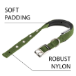 Picture of Ferplast Daytona Padded Nylon Dog Collar (C25/53) OLIVE
