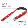 Picture of ferplast Daytona Padded Nylon Dog Collar (C25/53)  RED