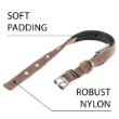 Picture of Ferplast Daytona  C25/45  Nylon Padded Dog Collar - Brown