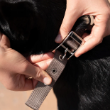 Picture of Ferplast Daytona  C25/45  Nylon Padded Dog Collar - Brown