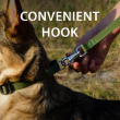 Picture of Ferplast CLUB G Nylon Dog Lead (Green, G10/120)
