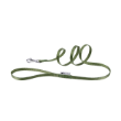Picture of Ferplast CLUB G Nylon Dog Lead (Green, G10/120)