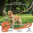 Picture of Ferplast Club G Long Nylon Dog Training Leash  Orange (5.0m)
