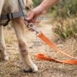 Picture of Ferplast Club G Long Nylon Dog Training Leash  Orange (5.0m)