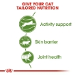 Picture of Royal Canin  Active Life Outdoor Dry Cat Food 2kg
