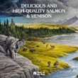 Picture of Taste of the wild Salmon and Roasted Venison in Gravy 158gr (12/Pack)
