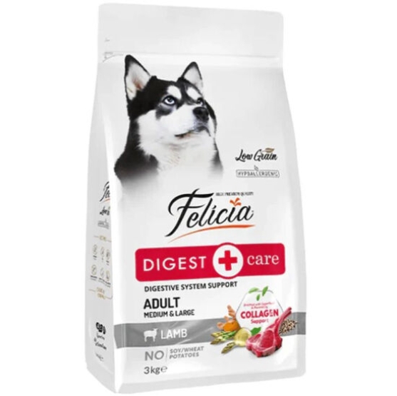Picture of Felicia Digest Care Adult Medium & Large Lamb 3kg