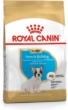 Picture of Royal Canin French Bulldog puppy 3KG
