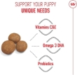 Picture of Royal Canin  Maxi Puppy 15KG