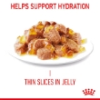 Picture of Royal Canin hair & skin Care  in Gravy 85g (12/pack)