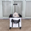 Picture of VOYAGER TROLLEY 450 ECO. WHI