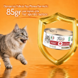 Picture of Felicia Care Grain-Free Adult Beef Paté Wet Cat Food 85g  (12/Pack)