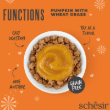 Picture of SCHESIR F CAT POUCH DIGESTTOPPER PUMPKIN WHEAT GRASS 40G
