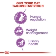 Picture of Royal Canin Regular Appetite Control Sterilised Dry Cat Food  2kg